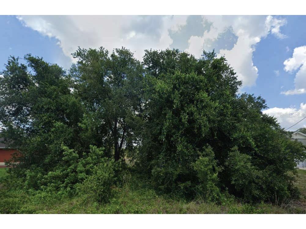 2810 51st Street SW Lehigh Acres FL 33976 O6319754 image1