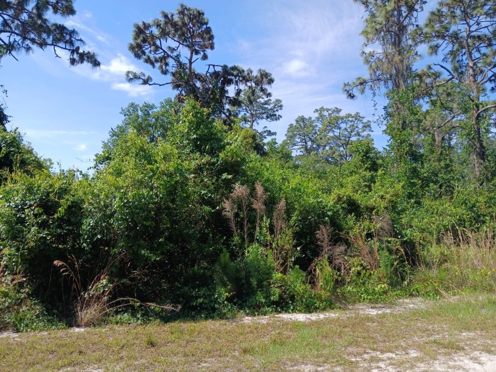 2810 Ixora Drive Indian Lake Estates FL 33855 TB8348220 image2