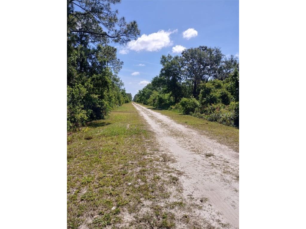 2810 Ixora Drive Indian Lake Estates FL 33855 TB8348220 image4