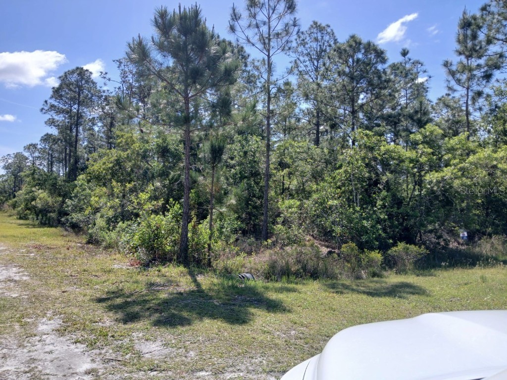 2810 Ixora Drive Indian Lake Estates FL 33855 TB8348220 image5