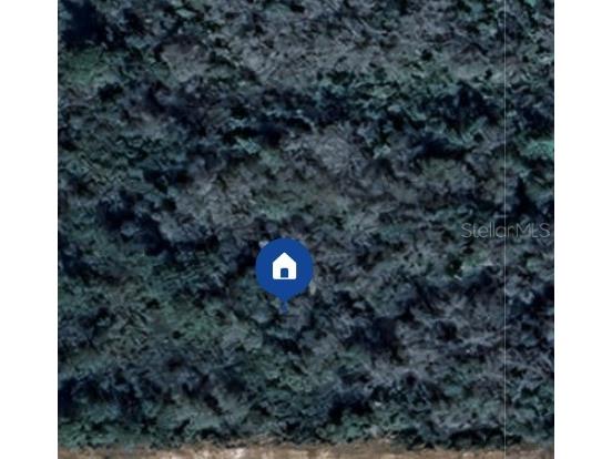 2810 Ixora Drive Indian Lake Estates FL 33855 TB8348220 image6