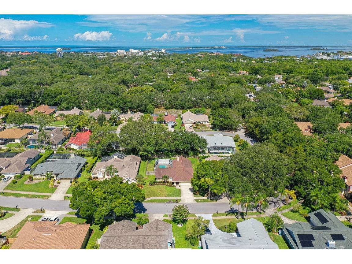 2810 Resnik Circle E, Palm Harbor, FL, 34683 MLS U8247864 Edina Realty