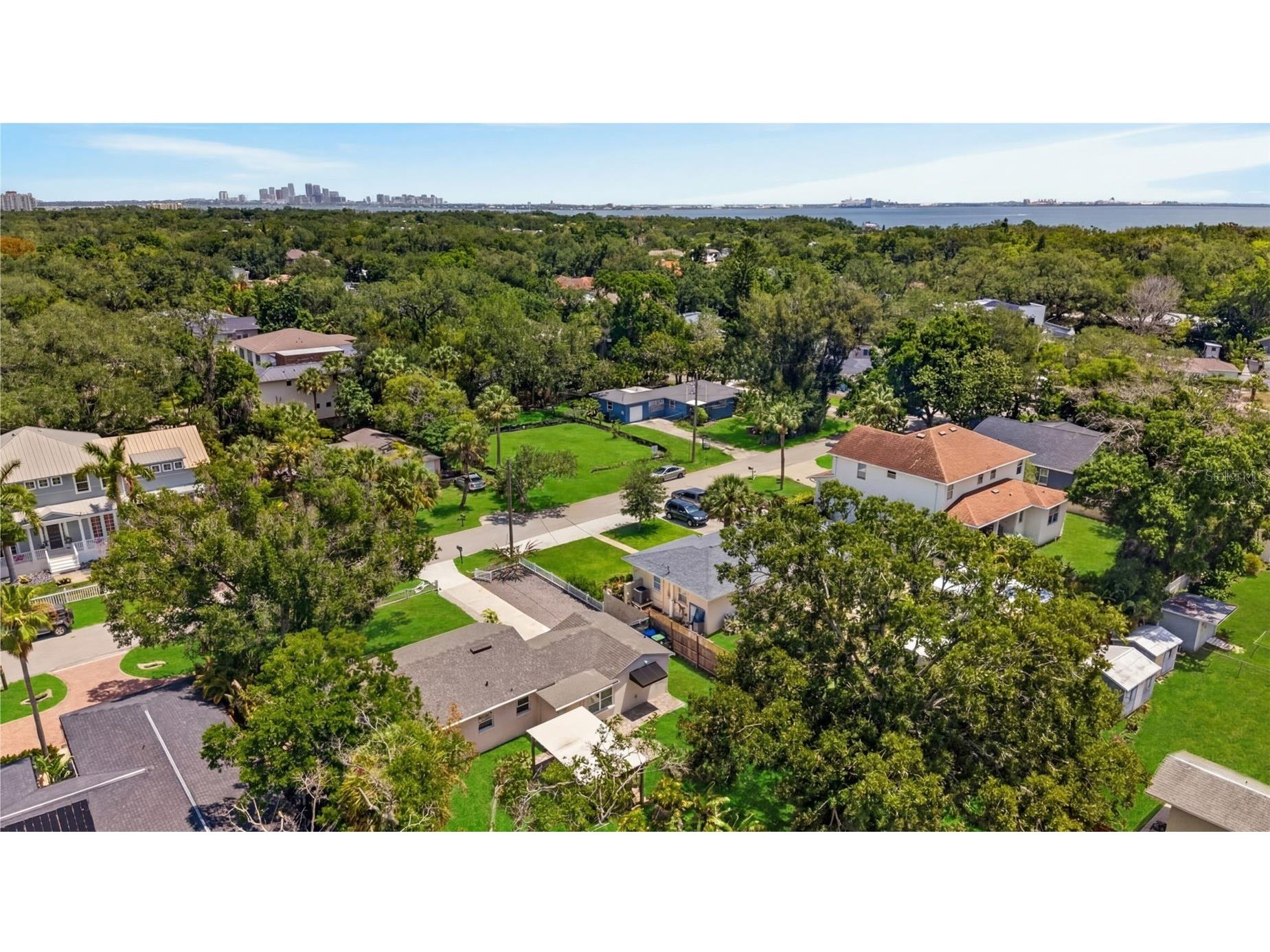 2810 Sanders Drive Tampa FL 33611 TB8510454 image43