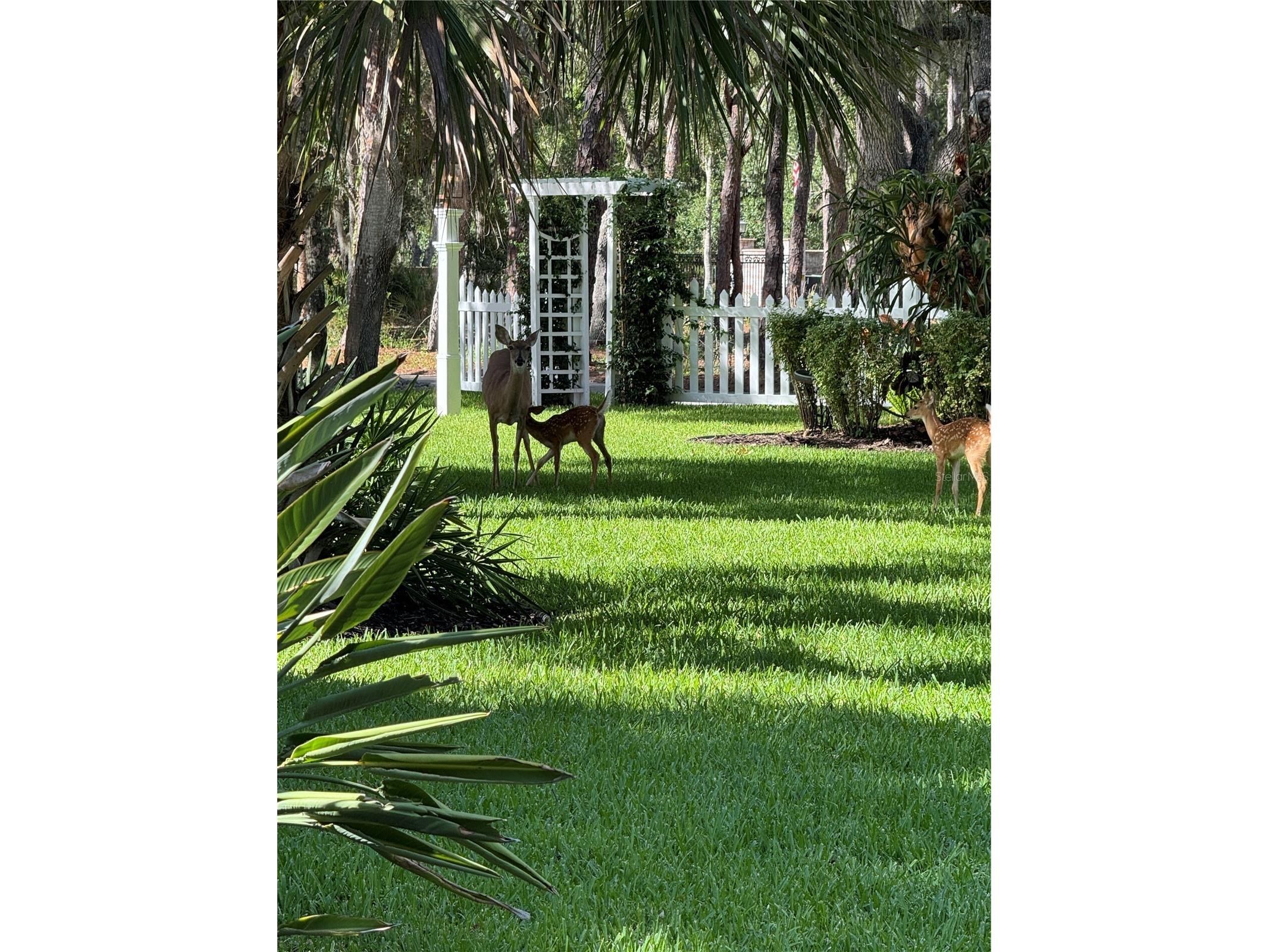 2810 Sarasota Golf Club Boulevard Sarasota FL 34240 A4697611 image92