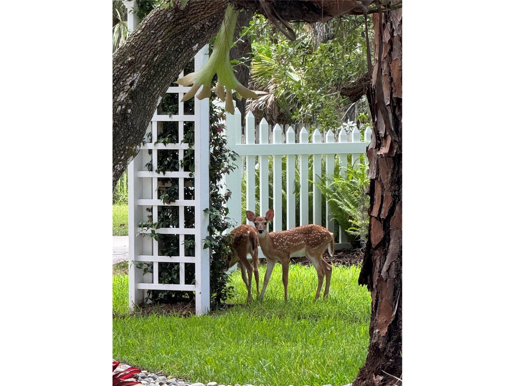 2810 Sarasota Golf Club Boulevard Sarasota FL 34240 A4697611 image93