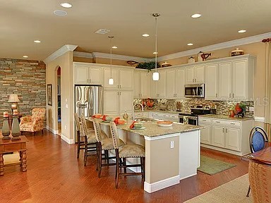 2810 Swoop Circle Kissimmee FL 34741 O6415499 image4