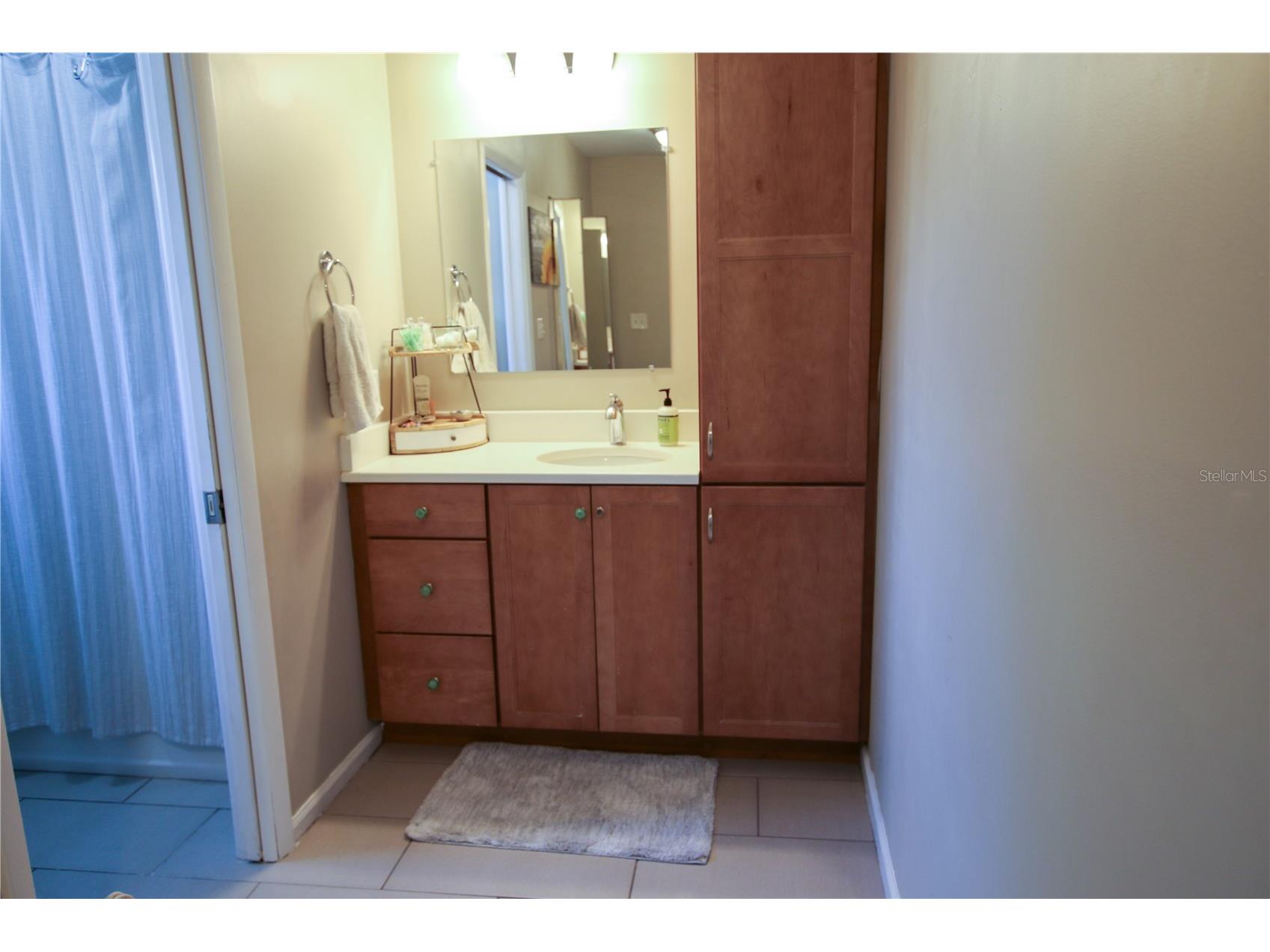 2810 W Robson Street Tampa FL 33614 TB8445845 image69