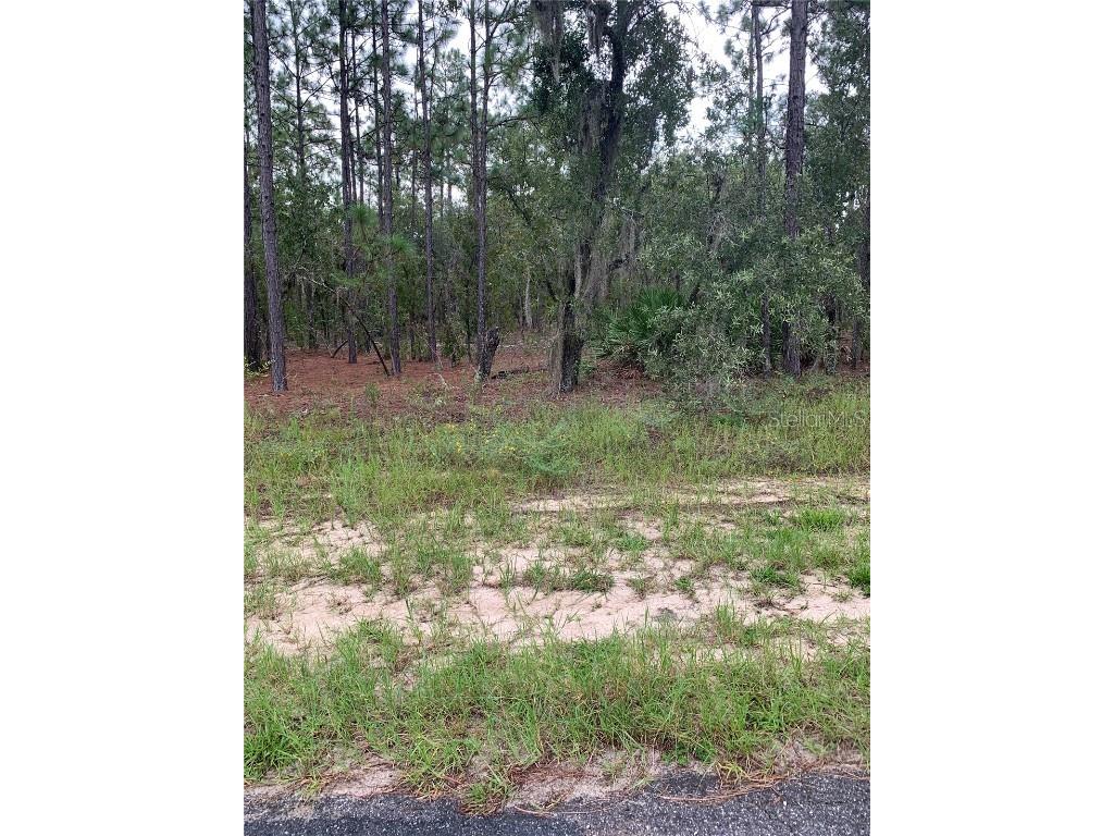 2810 W Xenox Drive Citrus Springs FL 34433 O6314506 image1