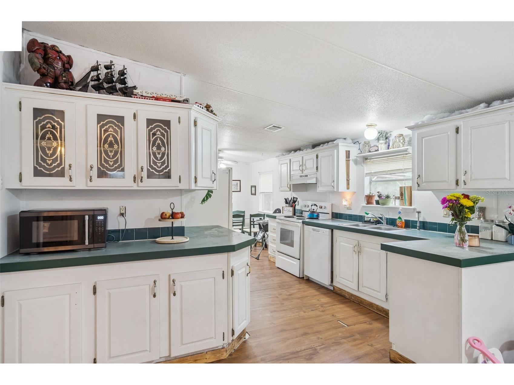 28100 SE 171st Street Umatilla FL 32784 O6409642 image10