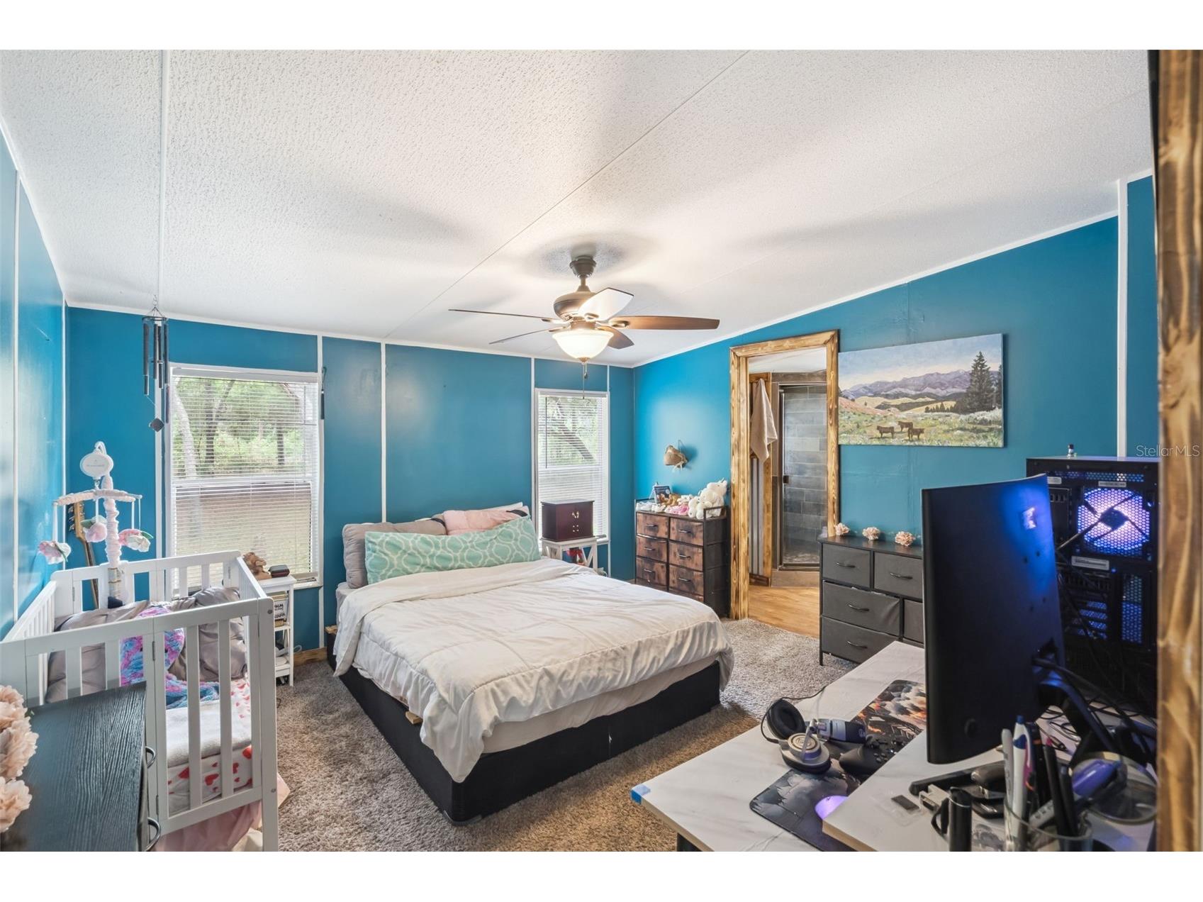 28100 SE 171st Street Umatilla FL 32784 O6409642 image11