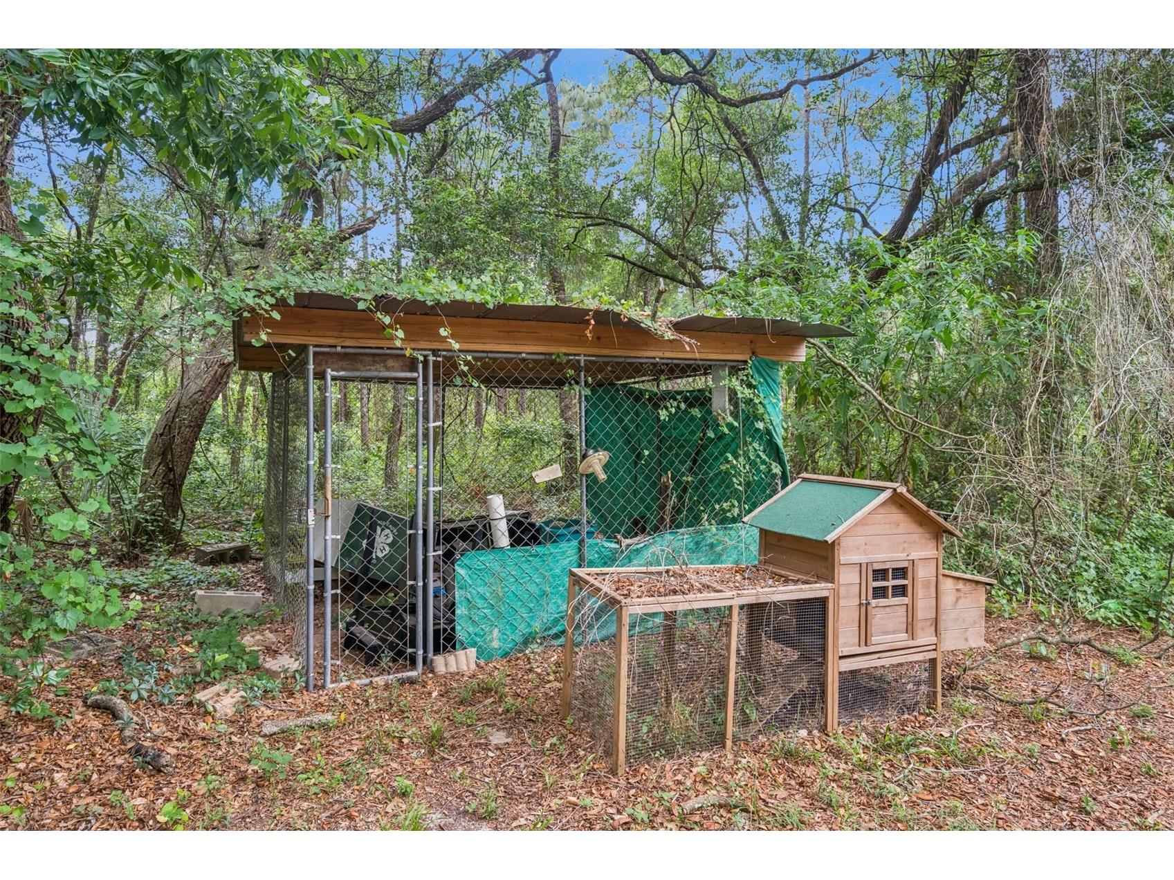 28100 SE 171st Street Umatilla FL 32784 O6409642 image22