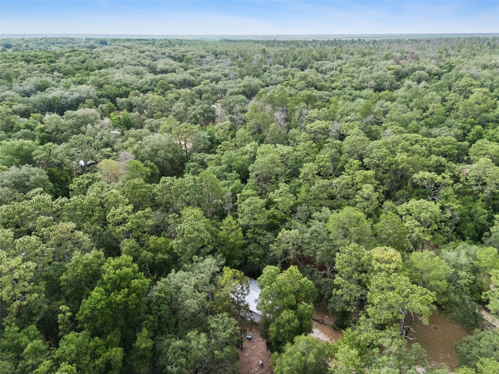 28100 SE 171st Street Umatilla FL 32784 O6409642 image32