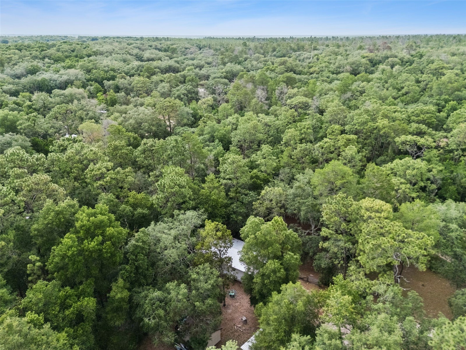 28100 SE 171st Street Umatilla FL 32784 O6409642 image34