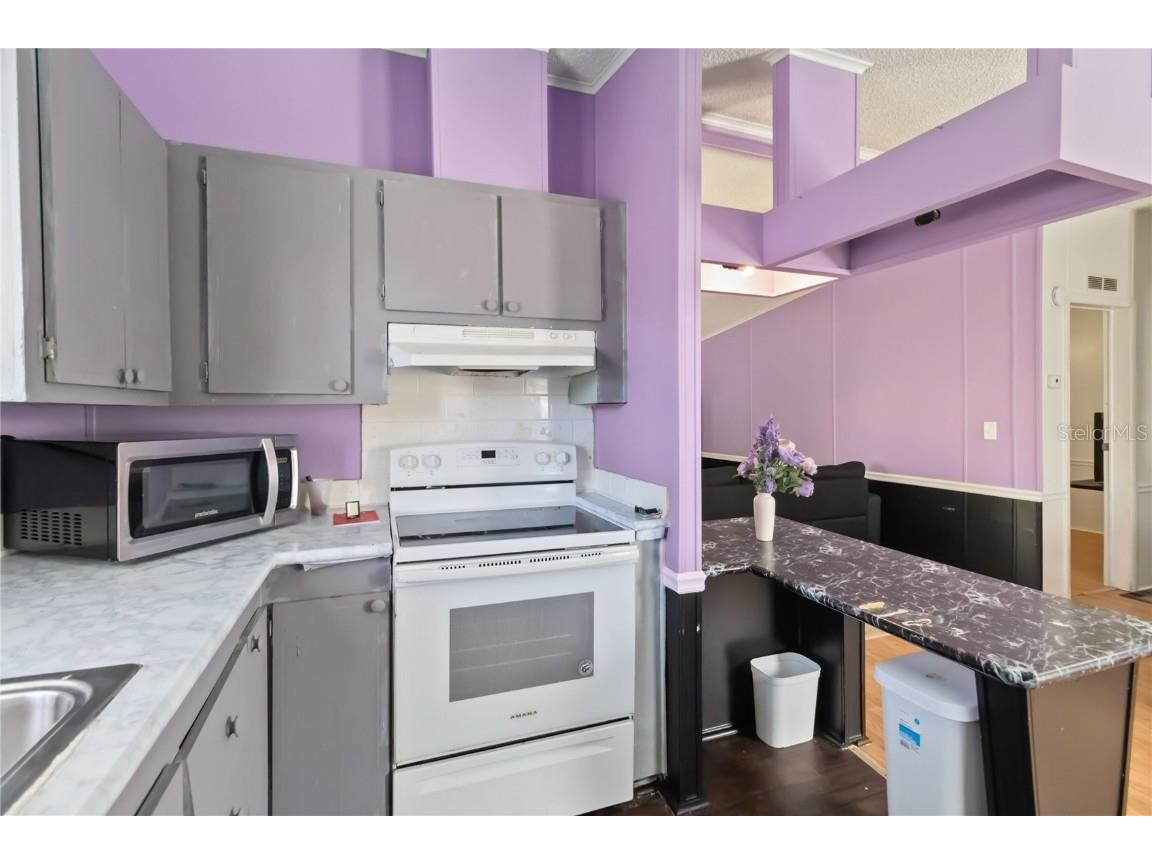 2811 Backiel Drive Orlando FL 32804 N6140924 image10