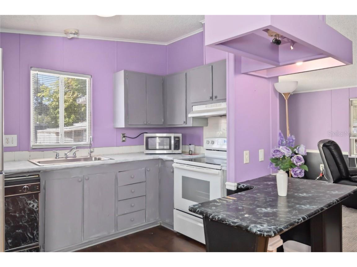 2811 Backiel Drive Orlando FL 32804 N6140924 image22