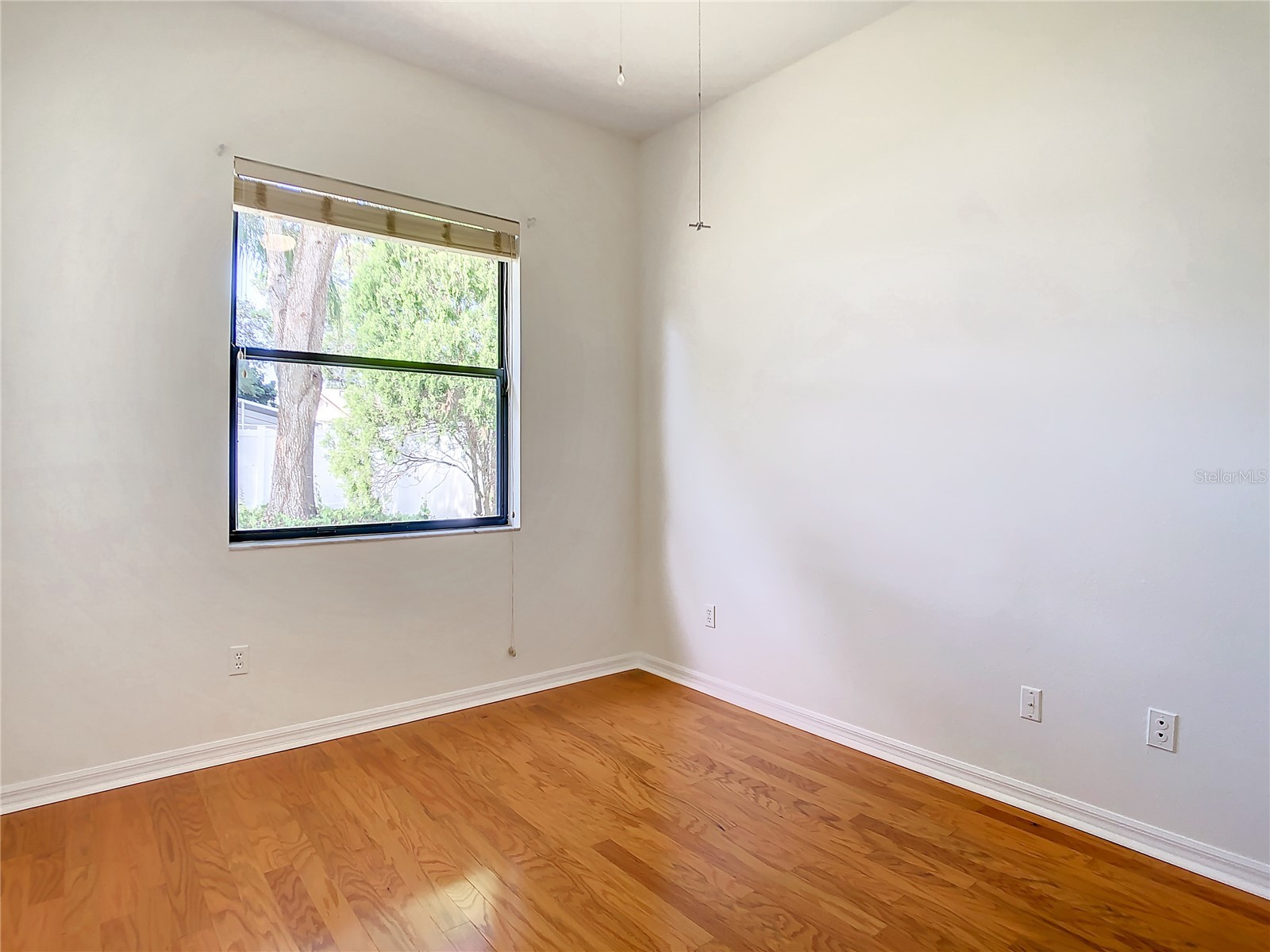 2811 Branch Creek Avenue Clearwater FL 33760 O6427886 image20