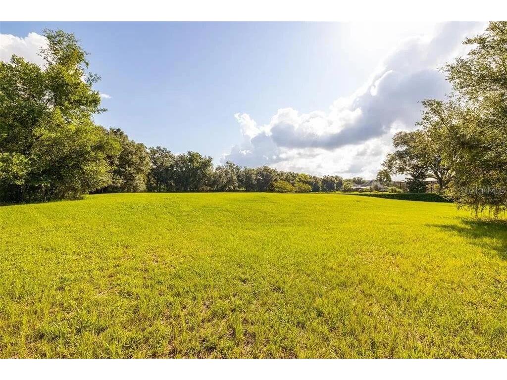 2811 Coastal Range Way Lutz FL 33559 O6381509 image13