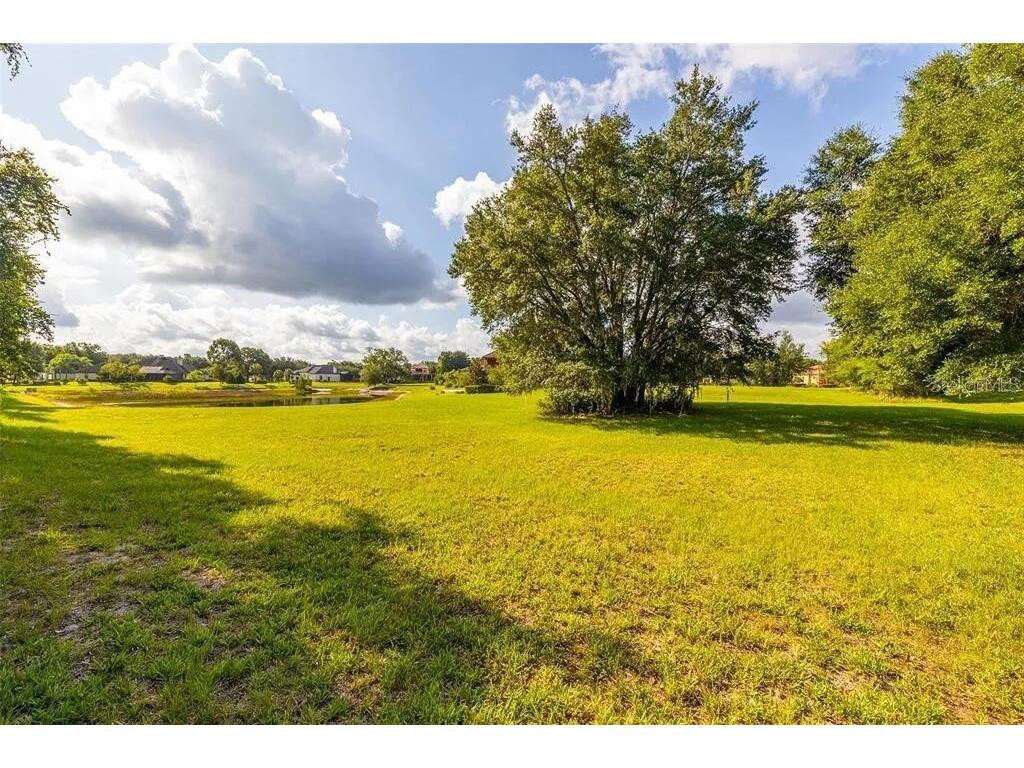 2811 Coastal Range Way Lutz FL 33559 O6381509 image21