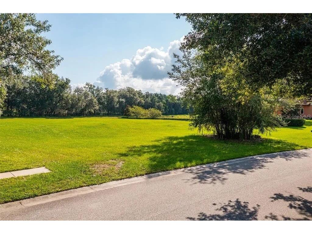 2811 Coastal Range Way Lutz FL 33559 O6381509 image25