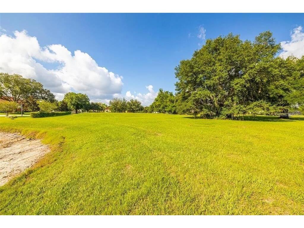 2811 Coastal Range Way Lutz FL 33559 O6381509 image28