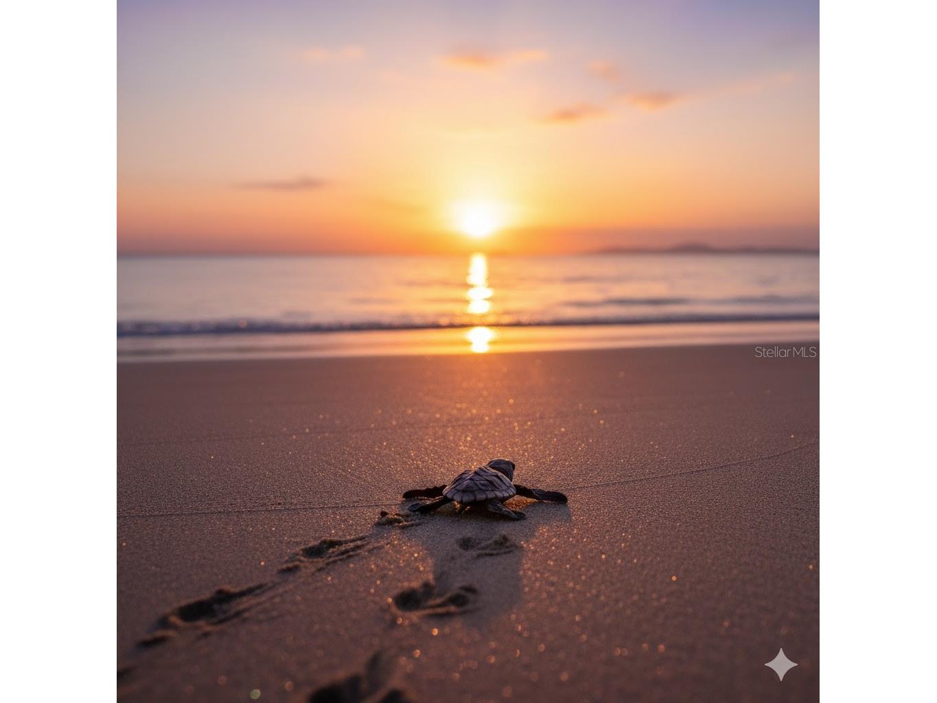 2811 S Ocean Shore Boulevard #5 Flagler Beach FL 32136 - ATLANTIC OCEAN FC313352 image18