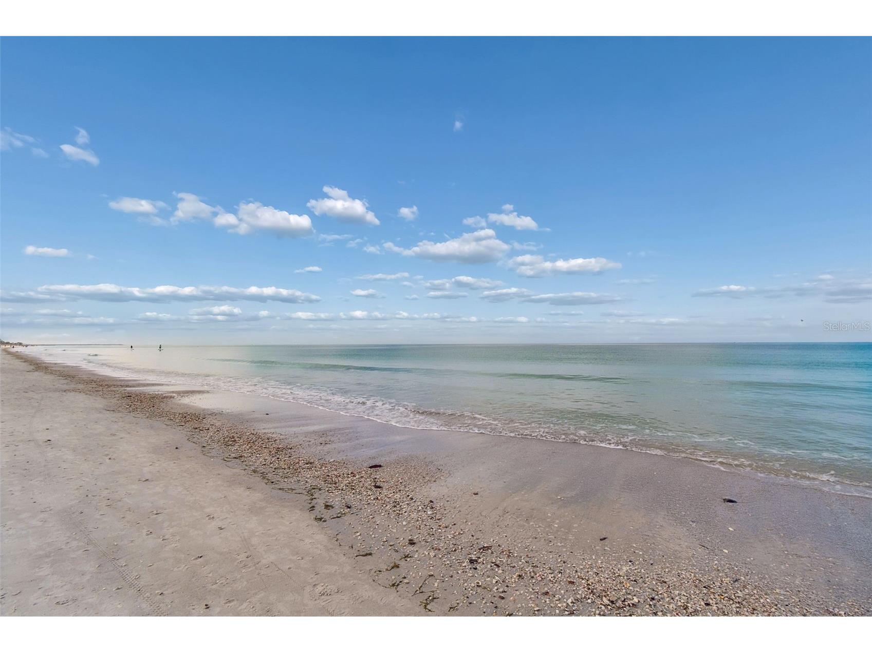 2811 Sunset Way Saint Pete Beach FL 33706 TB8488090 image13