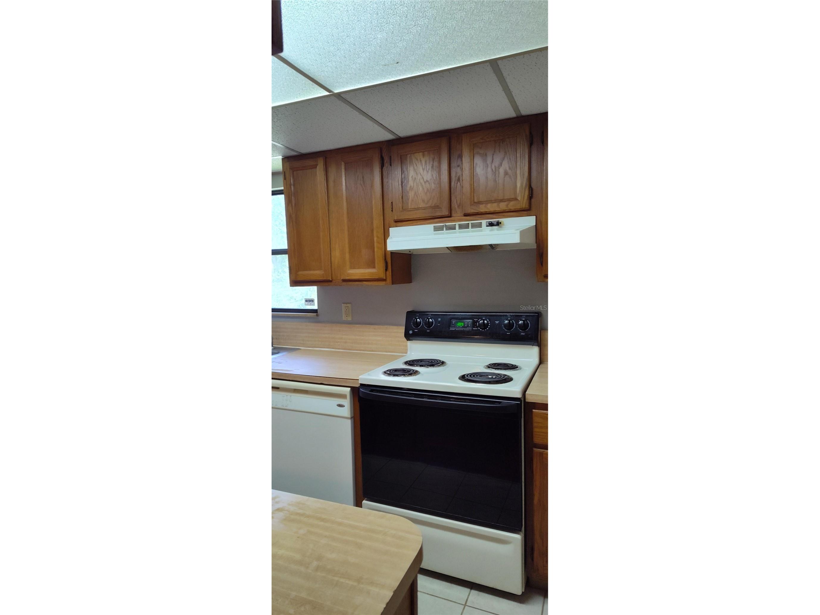 2811 SW Archer Road #F46 Gainesville FL 32608 A4689725 image2