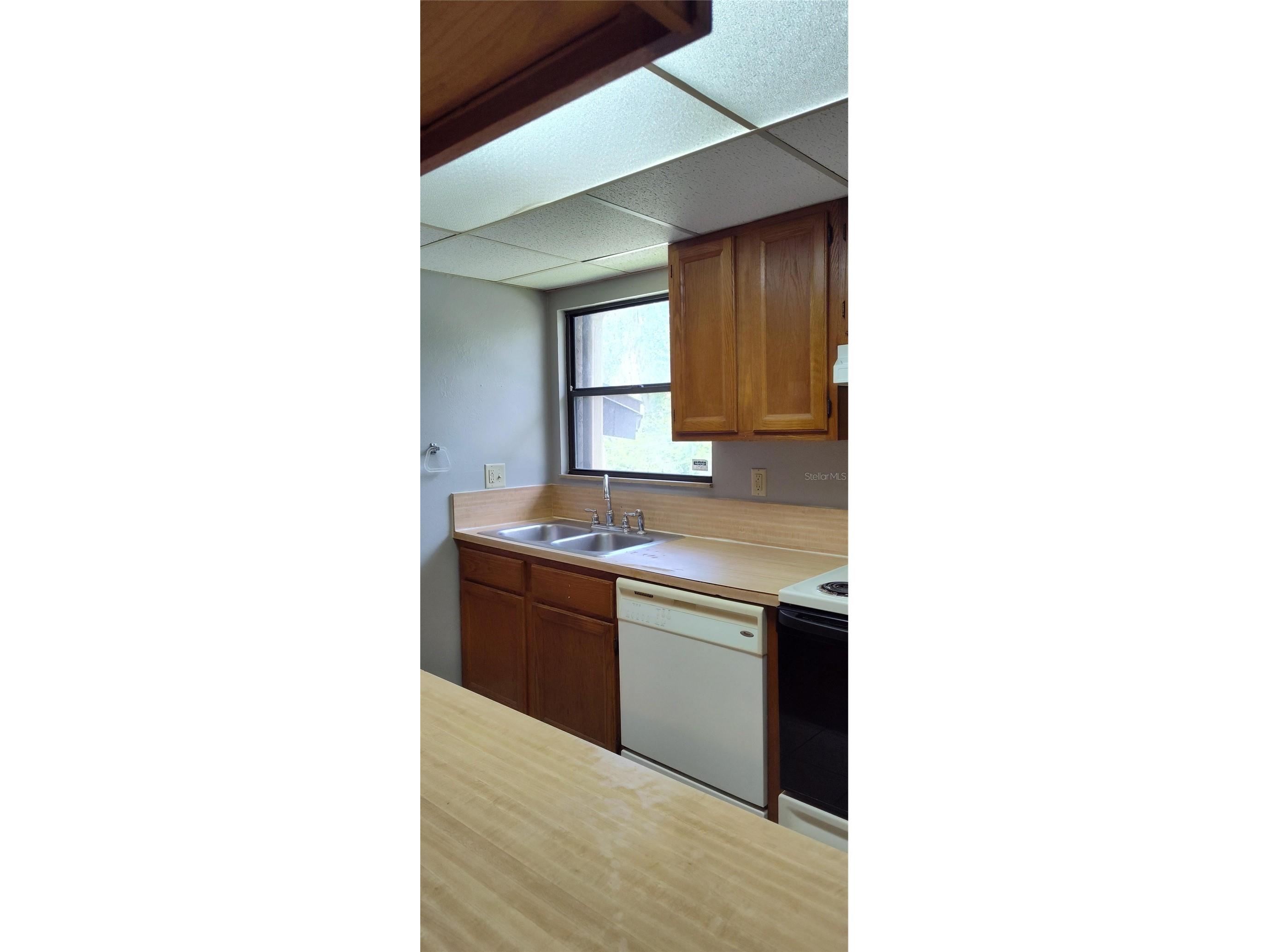 2811 SW Archer Road #F46 Gainesville FL 32608 A4689725 image3