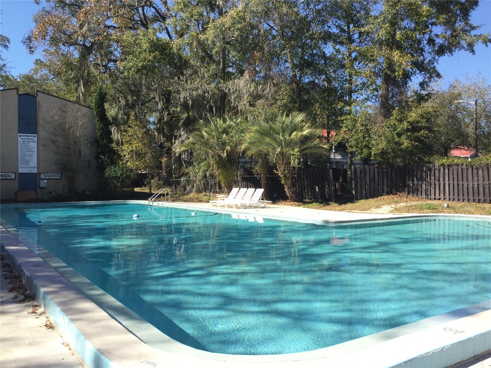 2811 SW Archer Road #Z244 Gainesville FL 32608 GC536591 image15