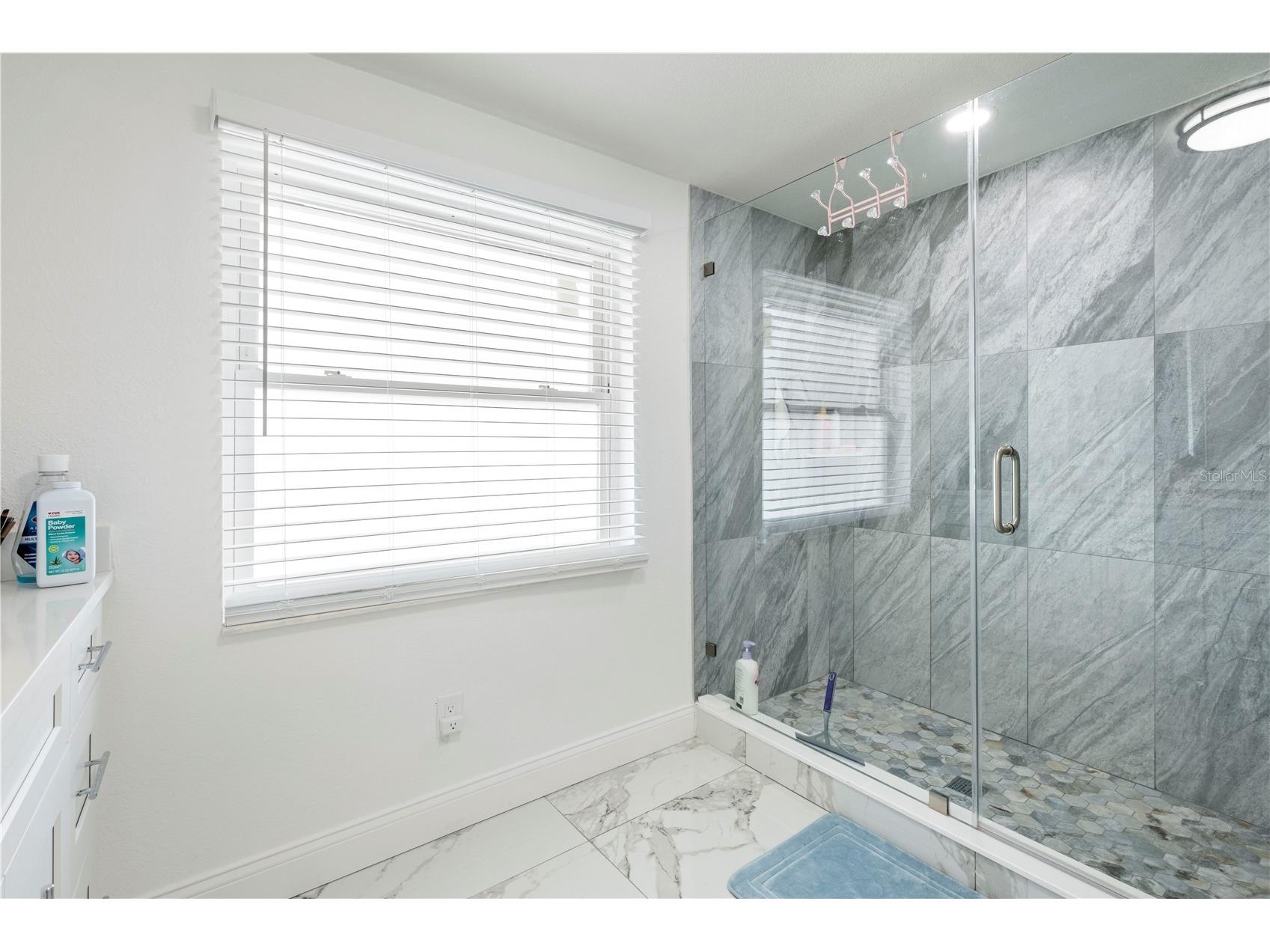 2811 W Ohio Avenue Tampa FL 33607 TB8510147 image19