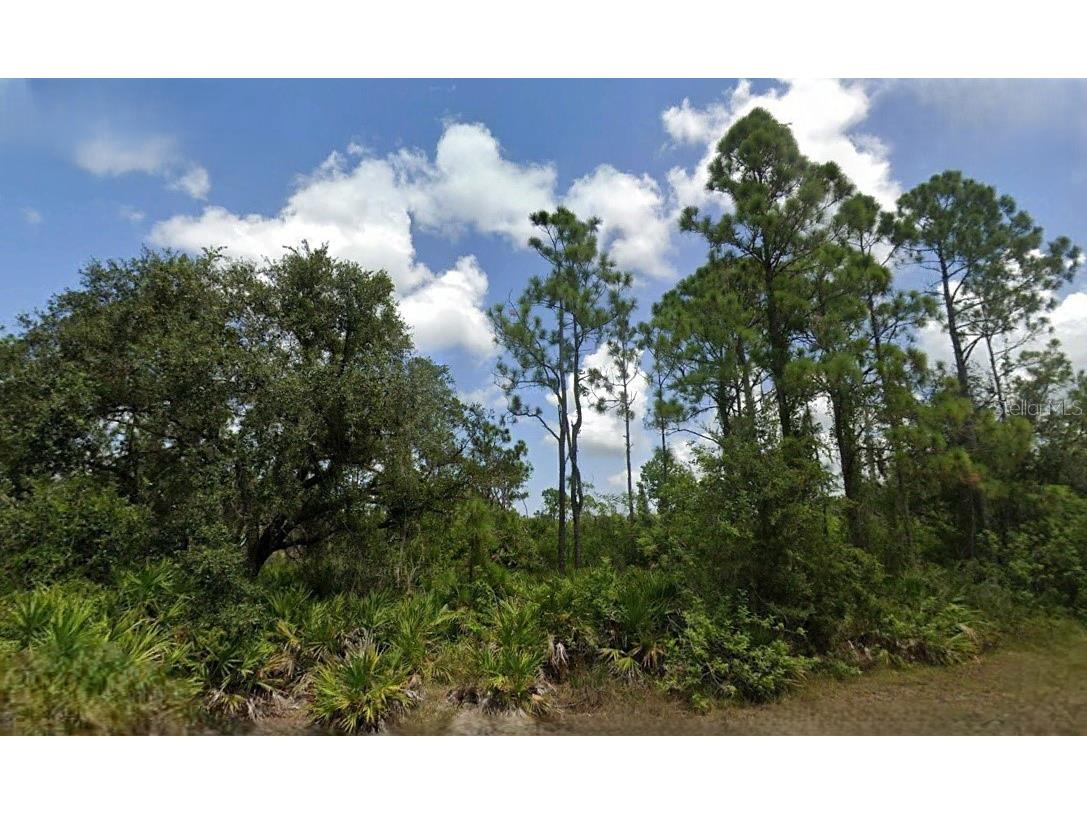 28116 or 28120 Ramiro Drive Punta Gorda FL 33955 O6295060 image1
