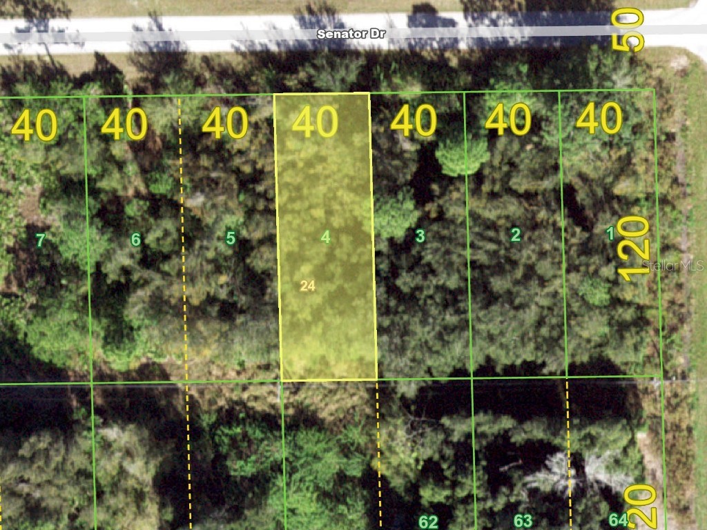 28117 Senator Drive Punta Gorda FL 33955 C7467099 image1