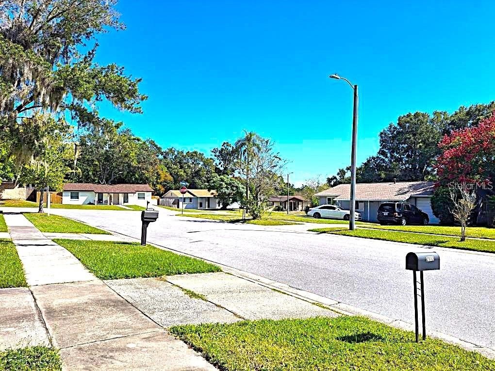 2812 Dovewood Street Clearwater FL 33759 TB8502108 image15