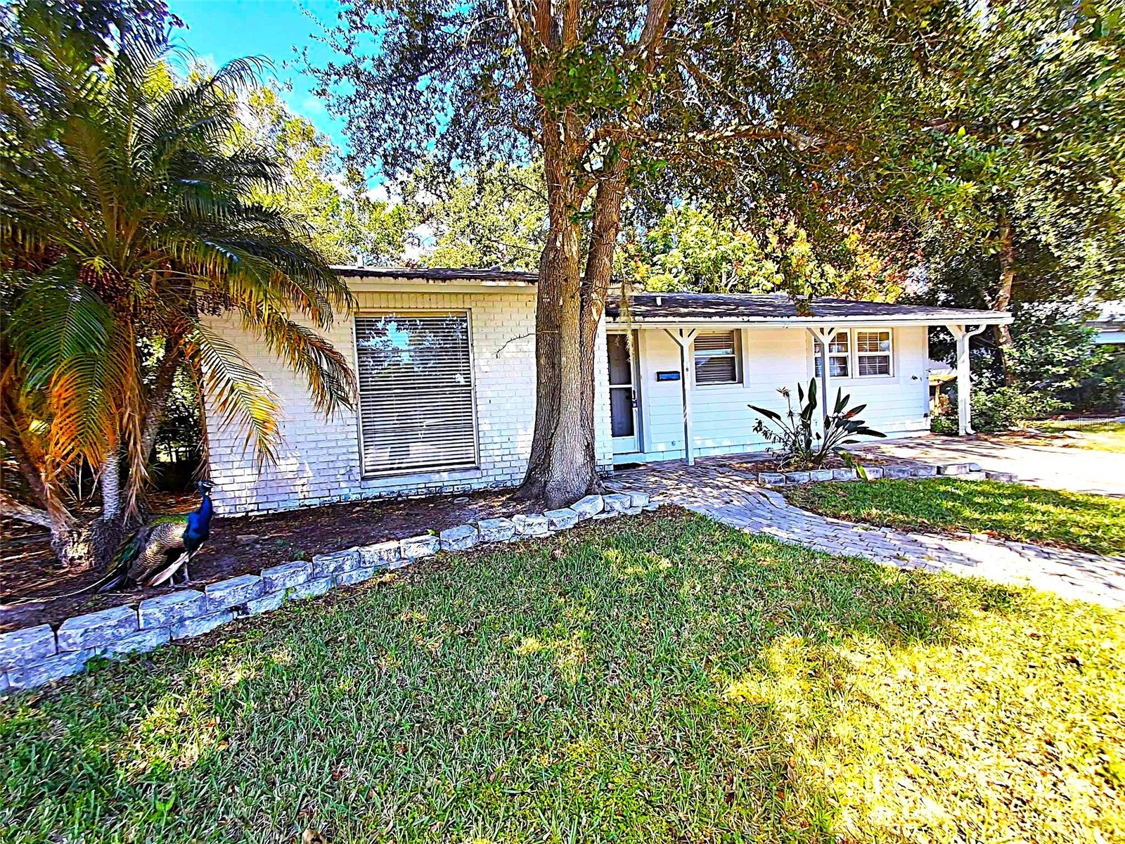 2812 Dovewood Street Clearwater FL 33759 TB8502108 image16
