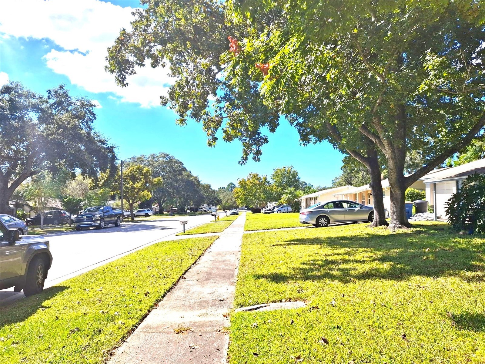 2812 Dovewood Street Clearwater FL 33759 TB8502108 image19