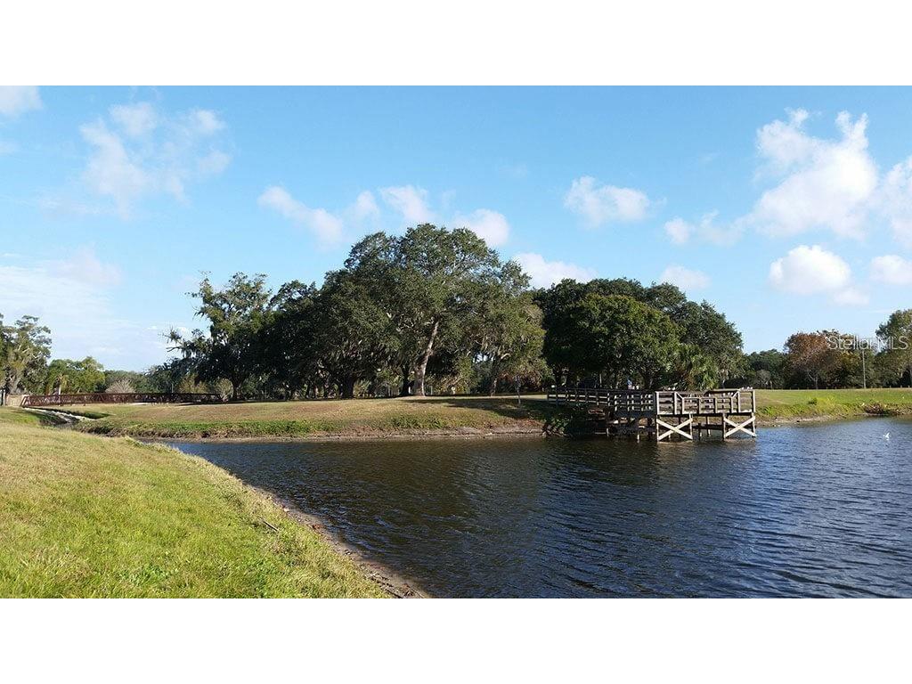 2812 Dovewood Street Clearwater FL 33759 TB8502108 image21
