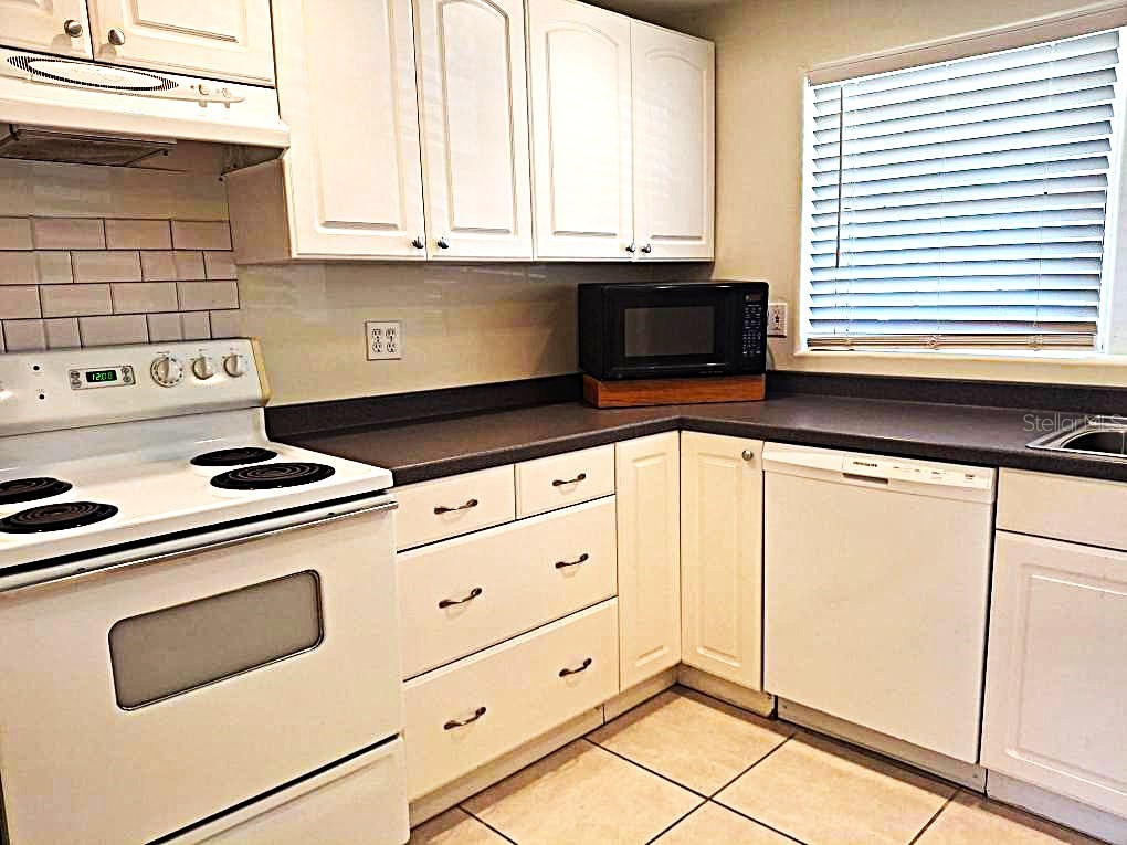2812 Dovewood Street Clearwater FL 33759 TB8502108 image3