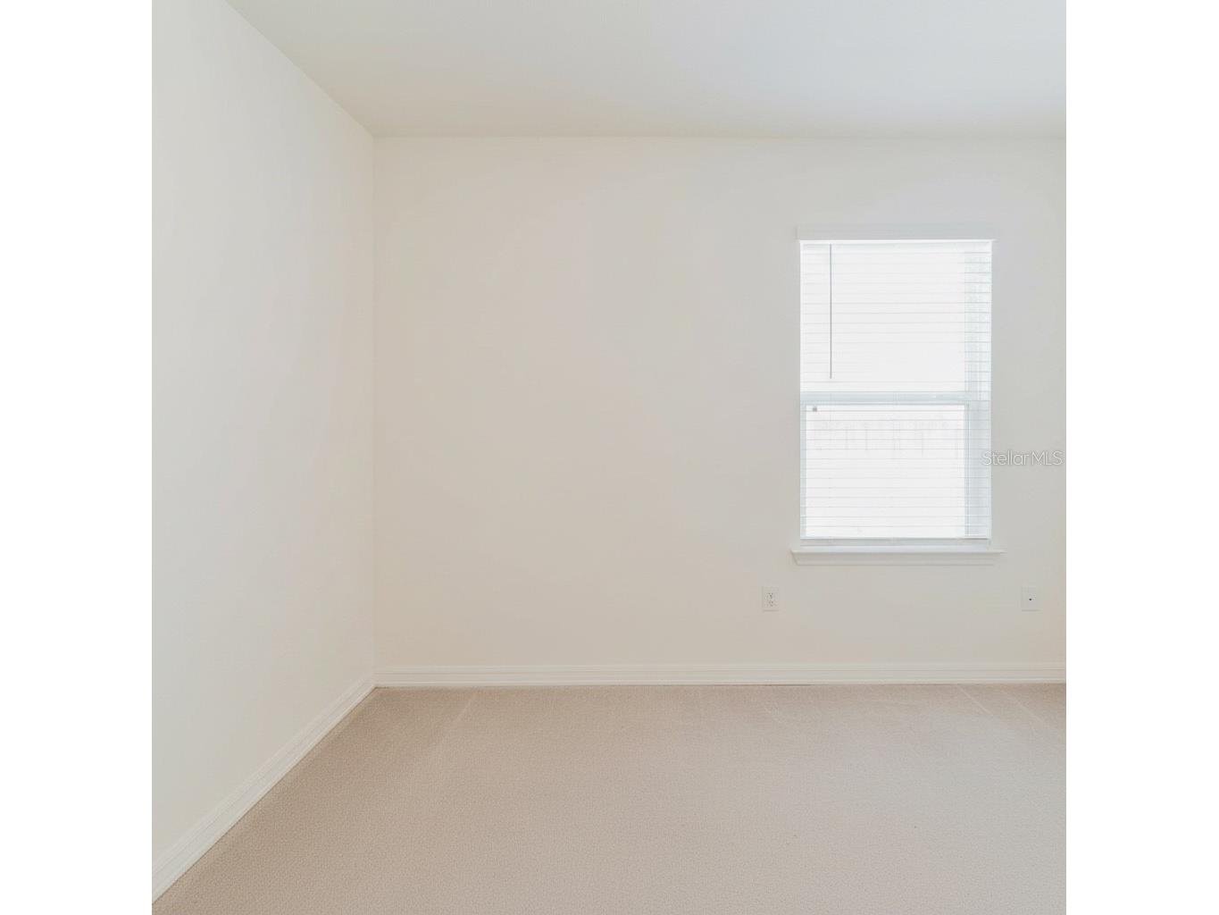 2812 Gumbo Limbo Drive Wimauma FL 33598 TB8493061 image8