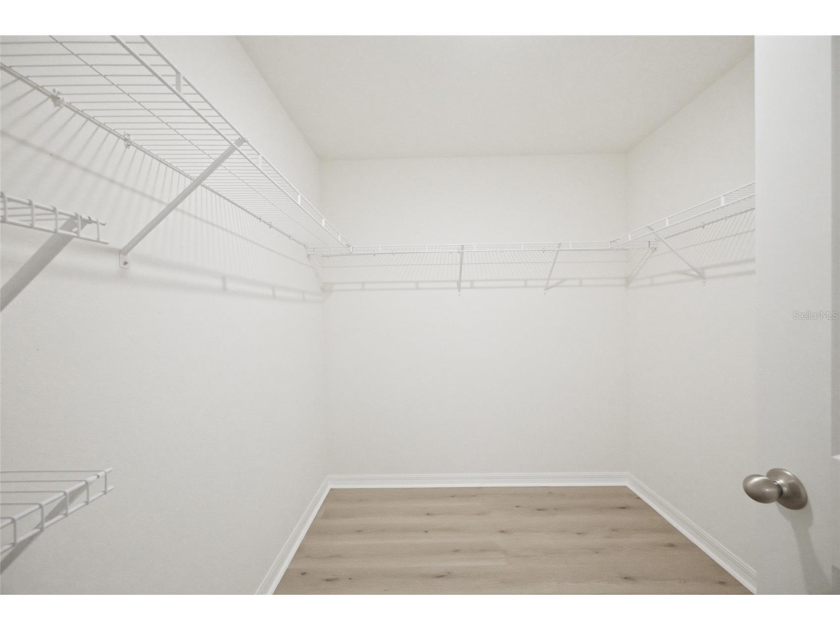 2812 Gumbo Limbo Drive Wimauma FL 33598 TB8523760 image22