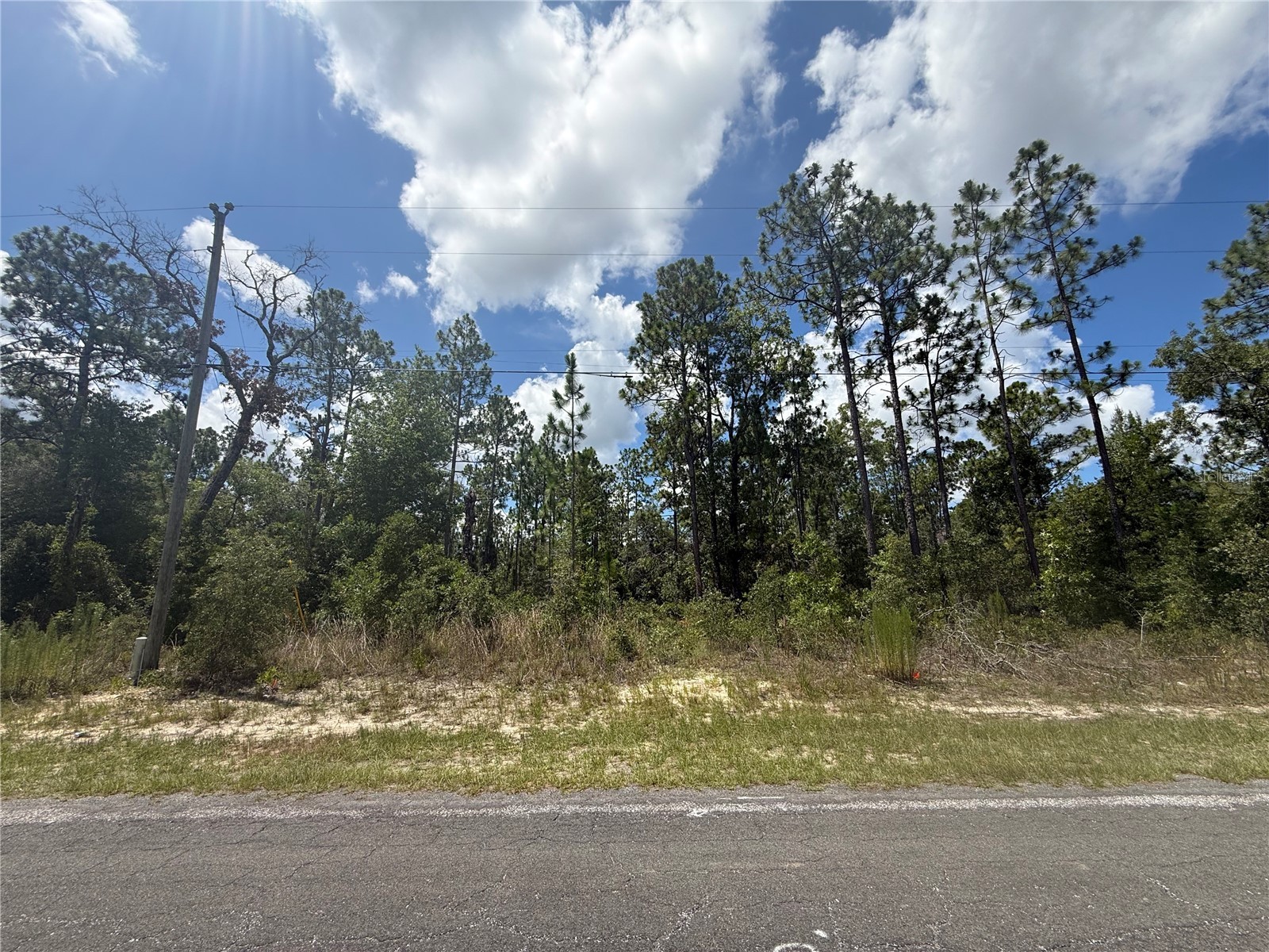 2812 W Edison Place Citrus Springs FL 34433 TB8528080 image1