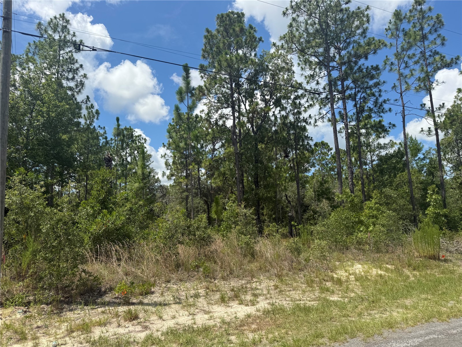 2812 W Edison Place Citrus Springs FL 34433 TB8528080 image2
