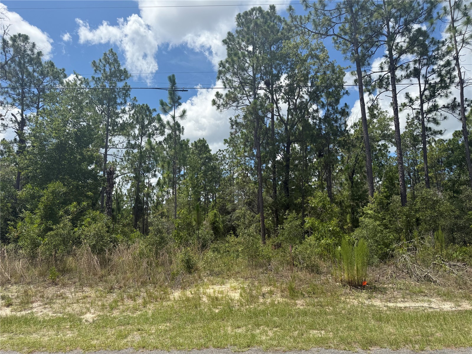 2812 W Edison Place Citrus Springs FL 34433 TB8528080 image3