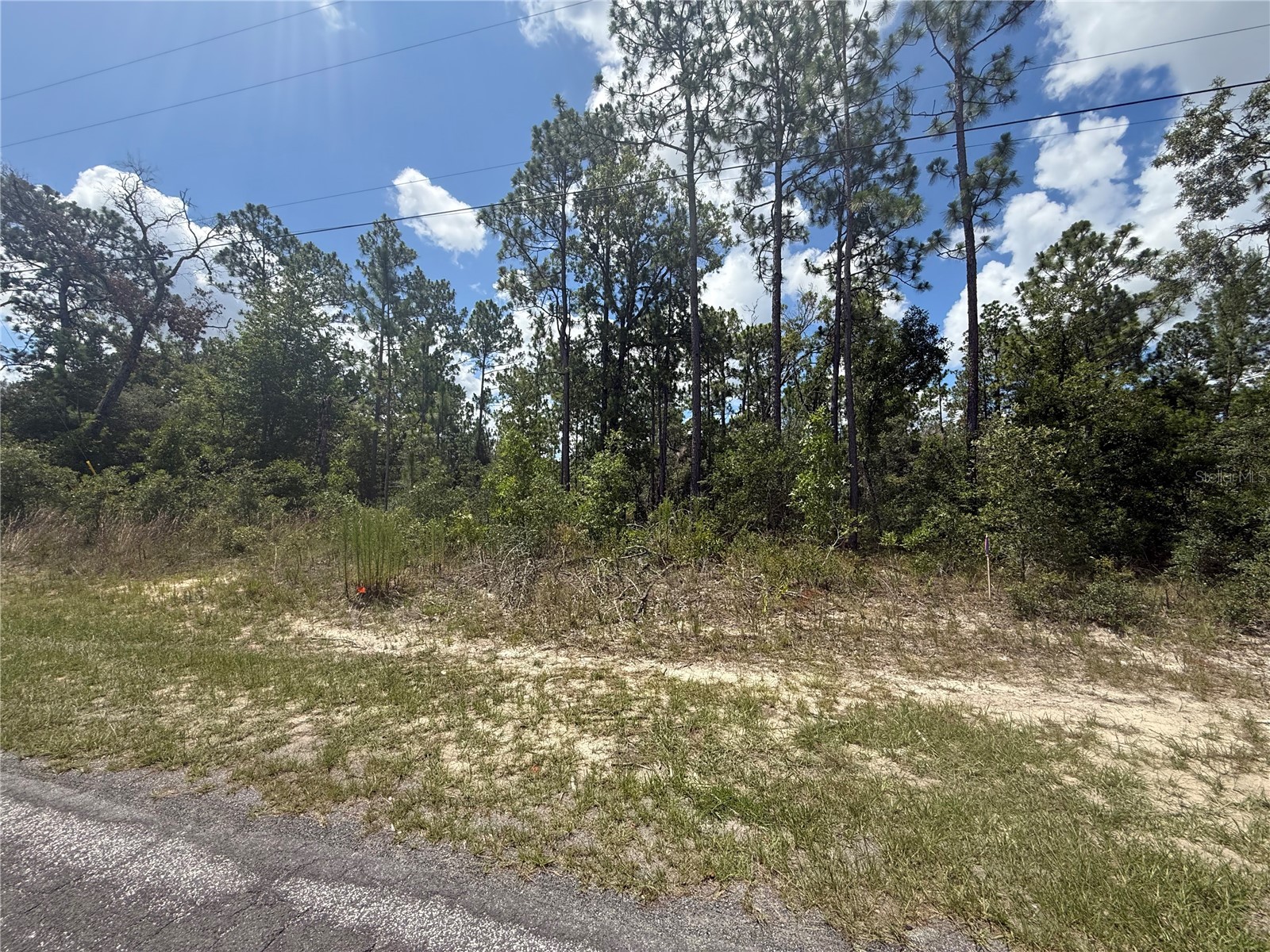 2812 W Edison Place Citrus Springs FL 34433 TB8528080 image4