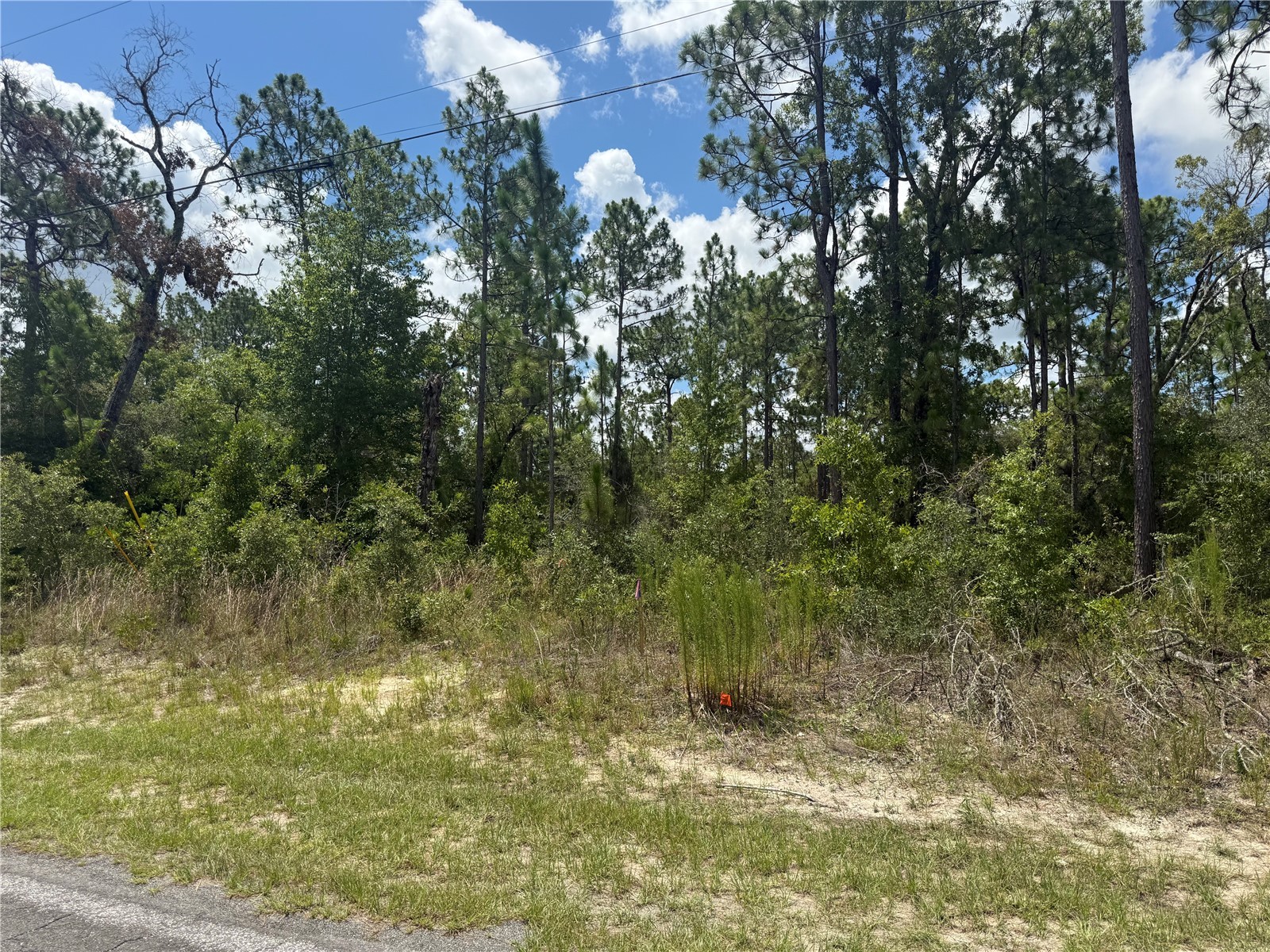 2812 W Edison Place Citrus Springs FL 34433 TB8528080 image5