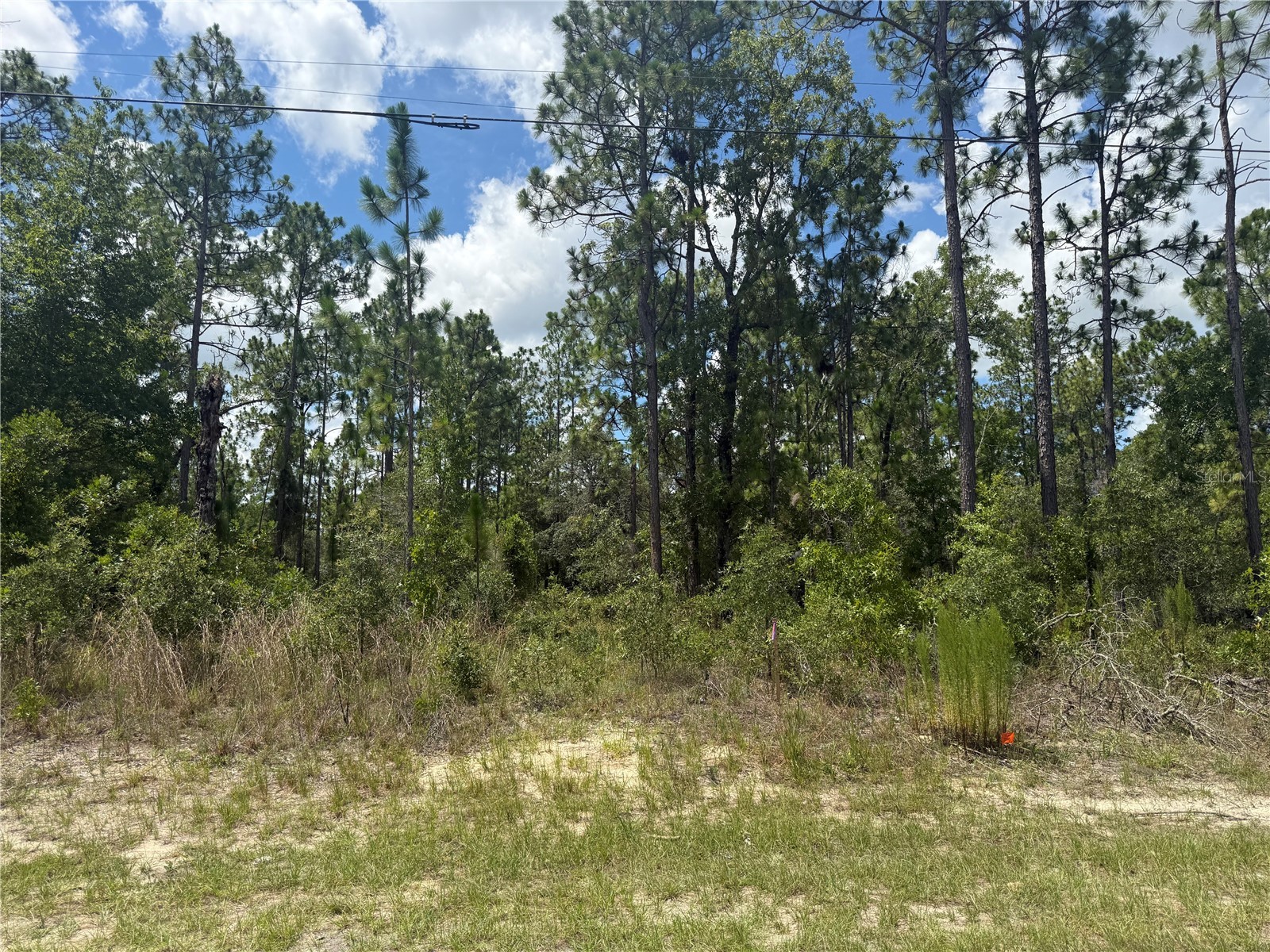 2812 W Edison Place Citrus Springs FL 34433 TB8528080 image6
