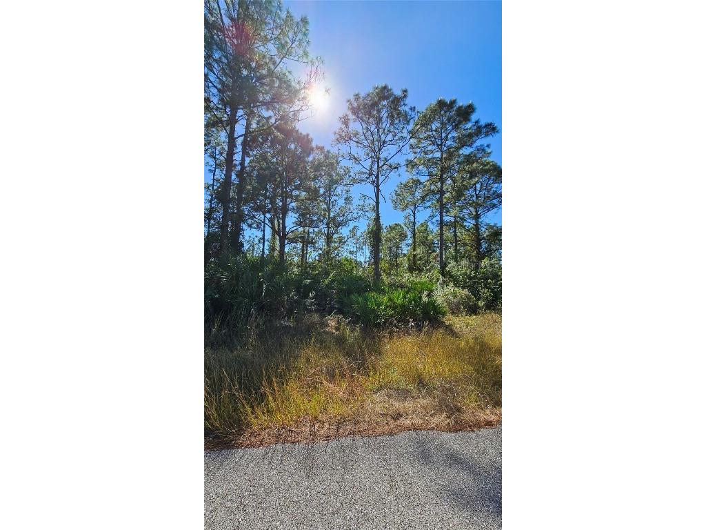 2813 20th Street W Lehigh Acres FL 33971 A4631999 image1