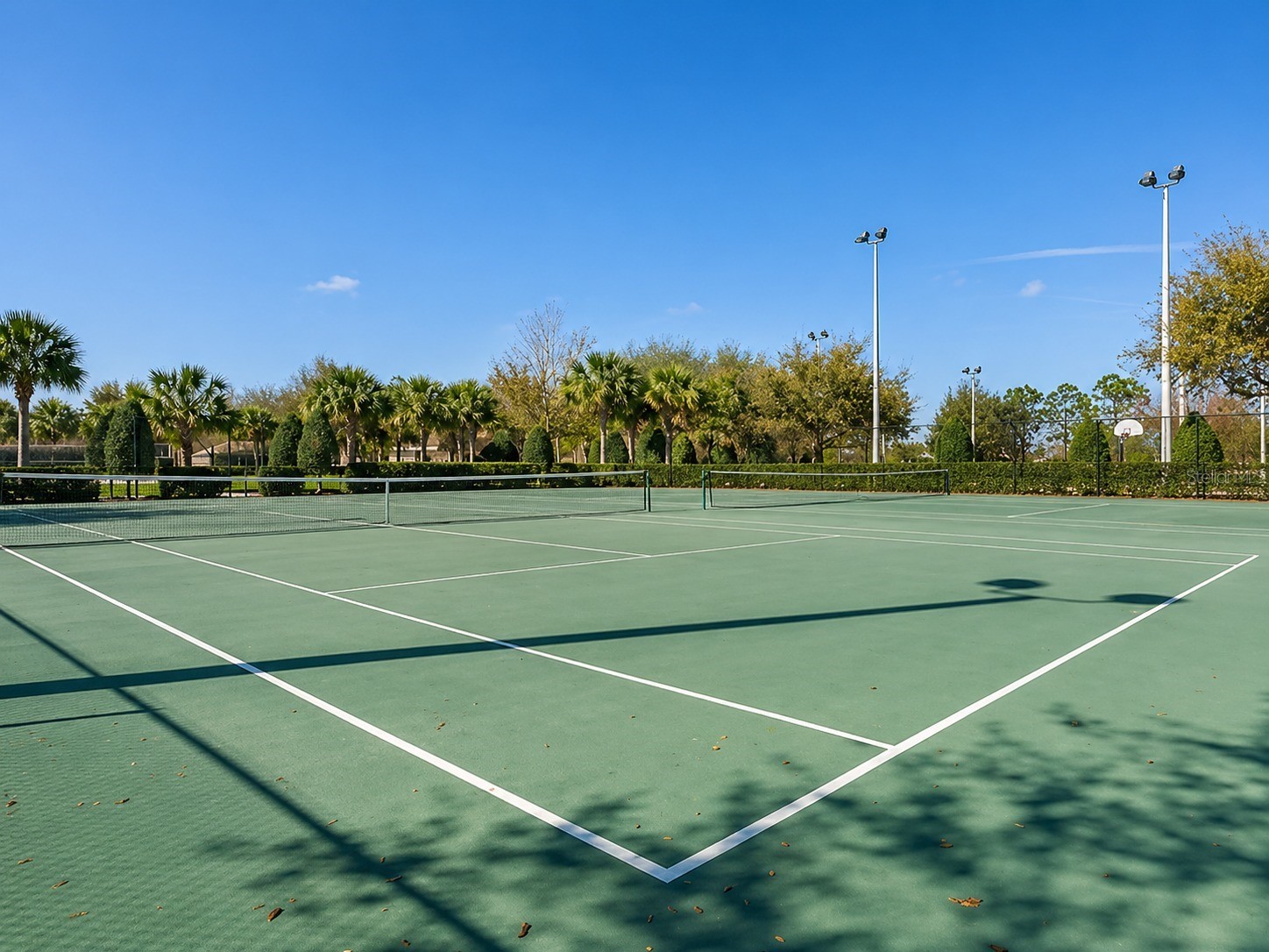 2813 Almaton Loop #404 Kissimmee FL 34747 TB8502801 image44