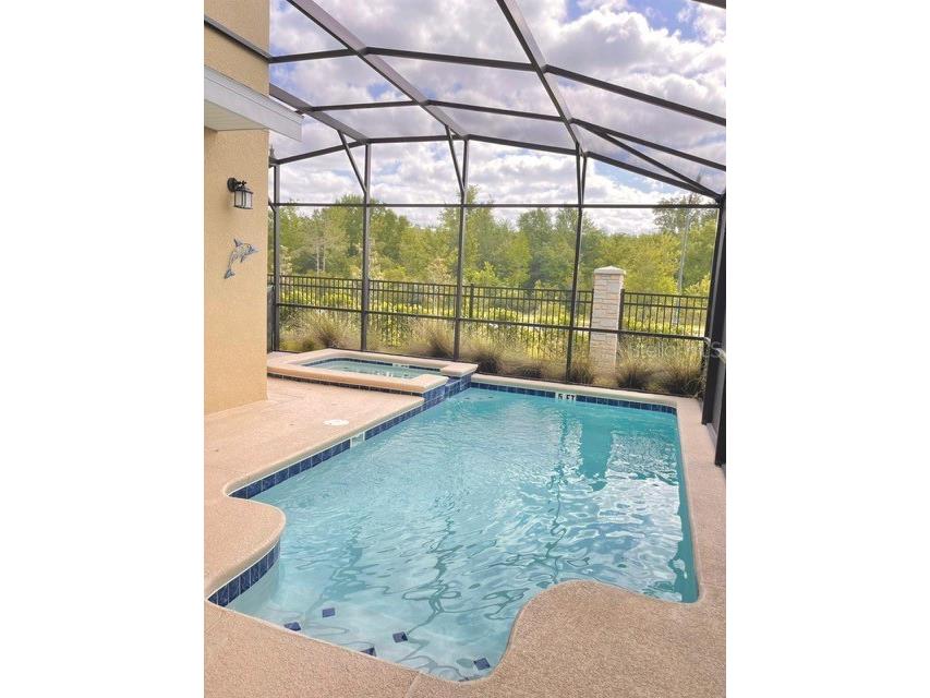 2813 Bookmark Drive Kissimmee FL 34746 O6387506 image20