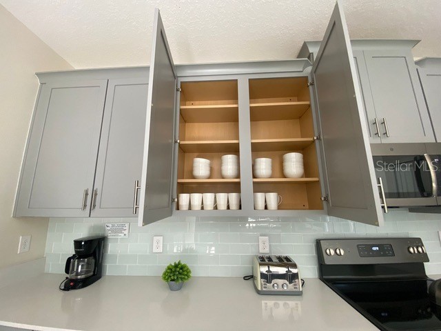2813 Bookmark Drive Kissimmee FL 34746 O6387506 image9
