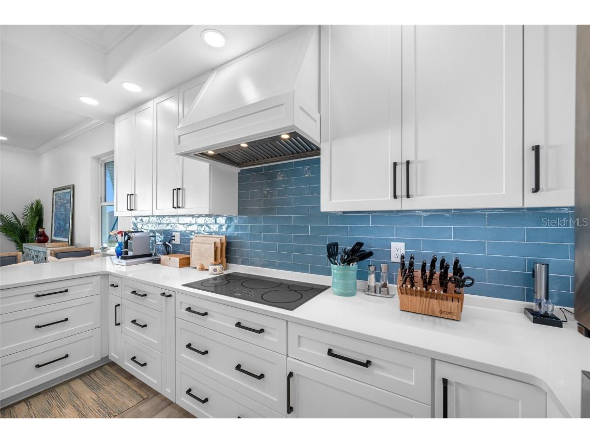 2813 Kipps Colony Drive S Saint Petersburg FL 33707 TB8439677 image20